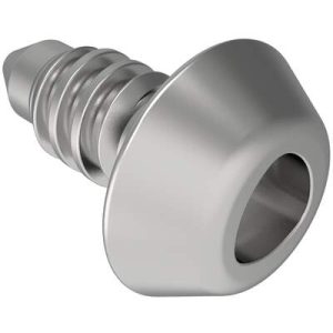 Fast Lead Screw, Small Size, ToolHead Recess, 3.4mm (.13 in) Max. Outer Panel, Steel, Zinc Plate, Bright chromate - Image 1