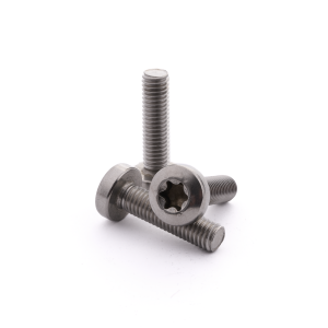 Austenitic Stainless Steel A4/316L - Pan Head - Torx - M5 x 20mm - ISO 14583TT